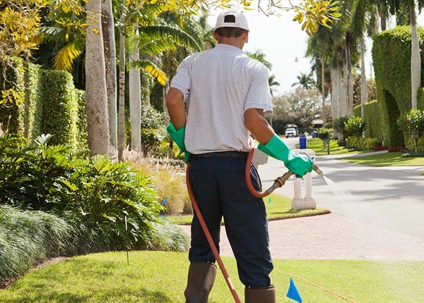 About North Sutton NH Pest Control Pros